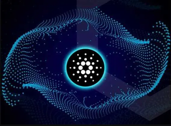 Cosa c'è di speciale in Cardano
