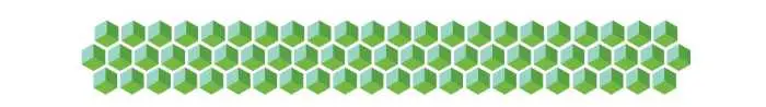 Cardano mira a creare un ecosistema stabile di criptovalute