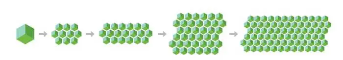 Cardano è il prossimo Ethereum?