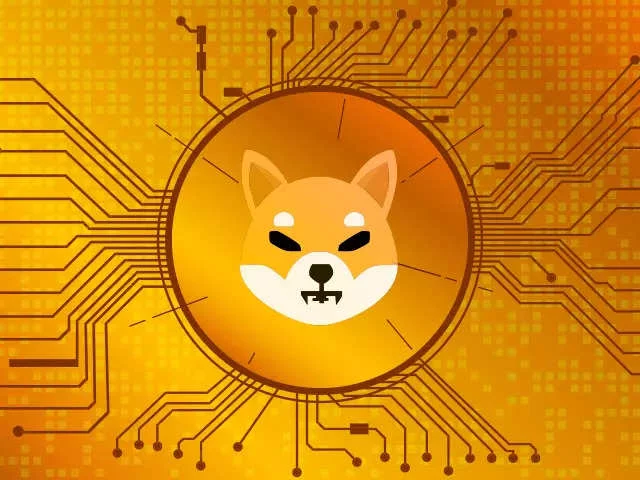 Shiba Inu. criptovalute volatili