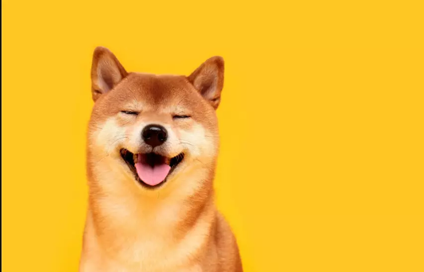 Chi ha inventato Dogecoin? dogecoin cripto
