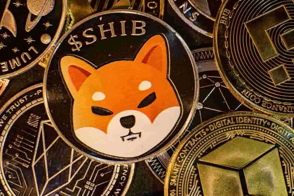 Cosa succederà a Shiba nel 2022? moneta shiba inu
