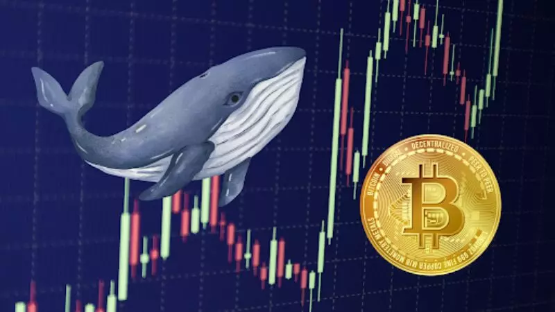 L'impennata del Bitcoin guidata dalle balene rompe la barriera dei 44.000 dollari, altri guadagni in vista?