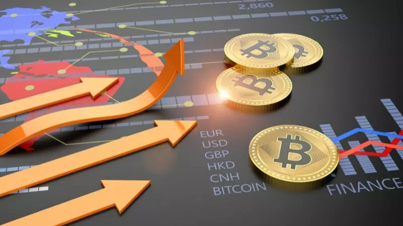Cosa sono gli exchange di criptovalute