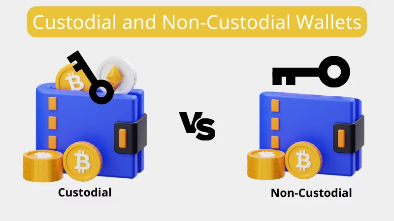 portafoglio custodiale vs portafoglio non custodiale