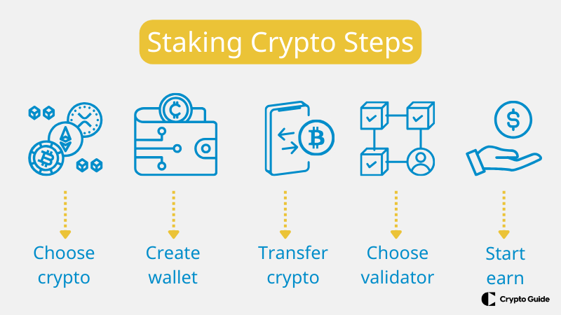 Fasi di staking delle criptovalute.