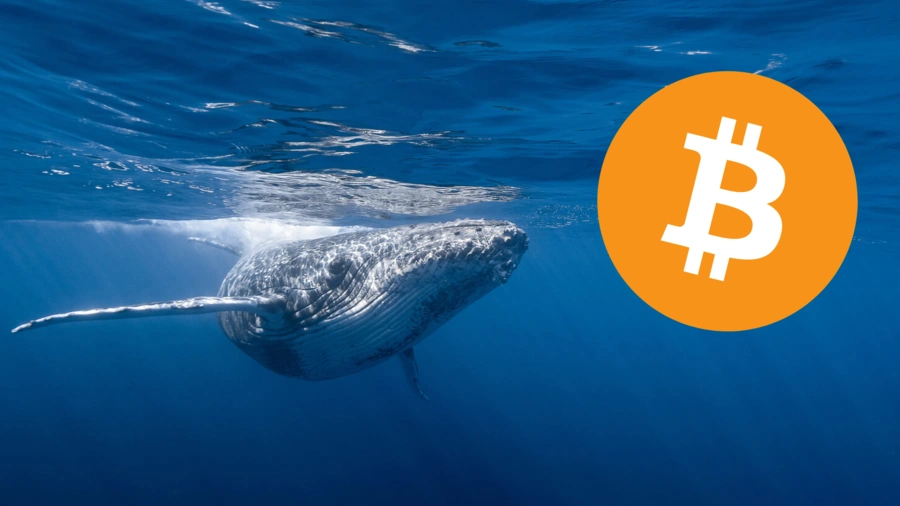 L'antica balena Bitcoin muove $60M dopo 12 anni!